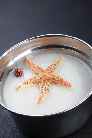 海星锅