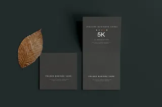 高端暗黑文具类文创VI样机模板