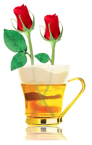 啤酒玫瑰花