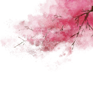 树木树枝树叶免扣素材