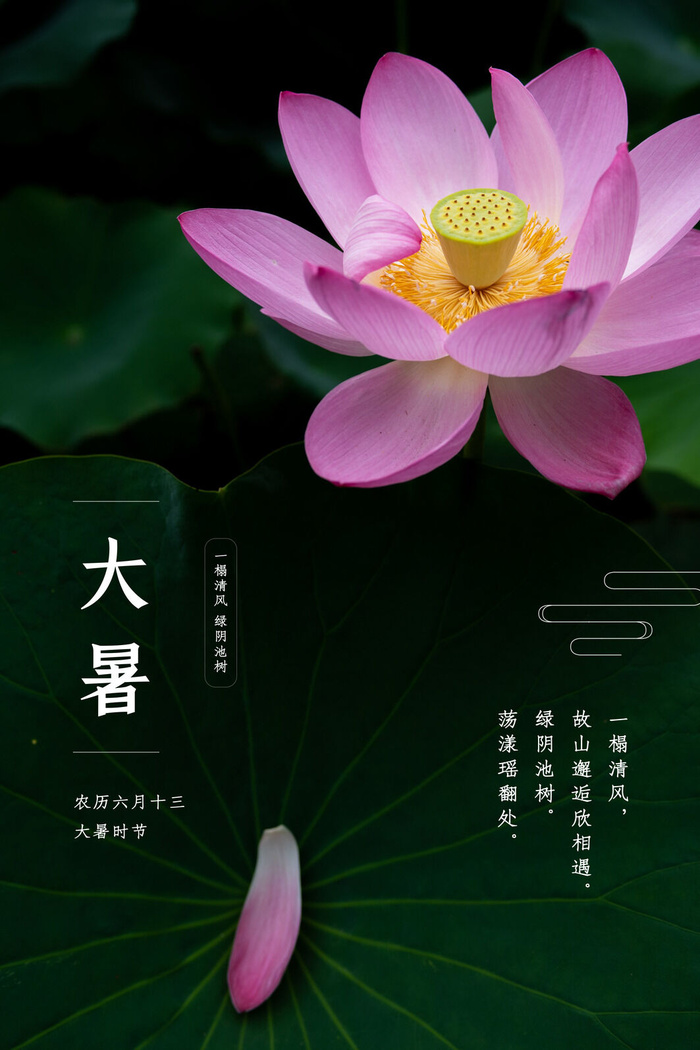传统节气大暑海报psd模版下载