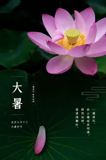 传统节气大暑海报