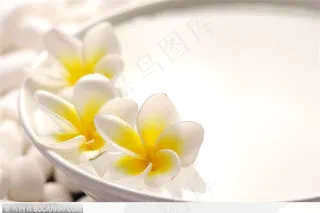 SPA气氛-碗中的三朵花朵(2)