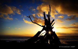 图片素材背景光影艺术