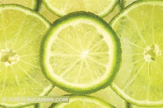 新鲜青柠檬片摄影图