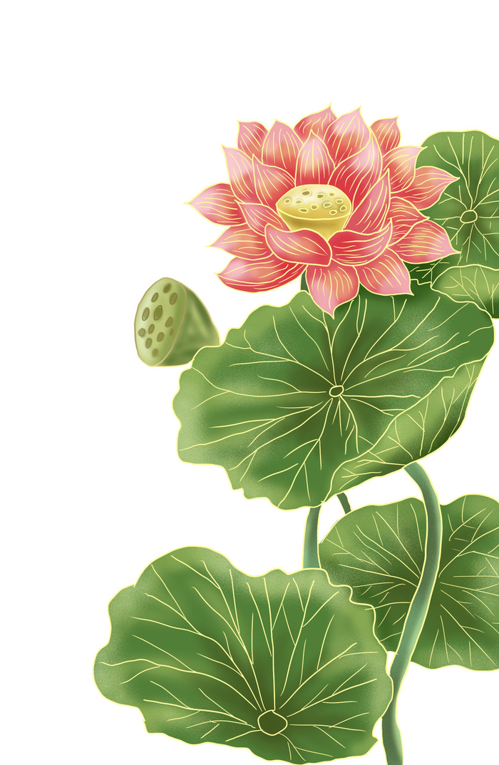 国潮中国风手绘荷花莲花荷叶莲藕植物花卉装饰插画PSD设计素材psd模版下载