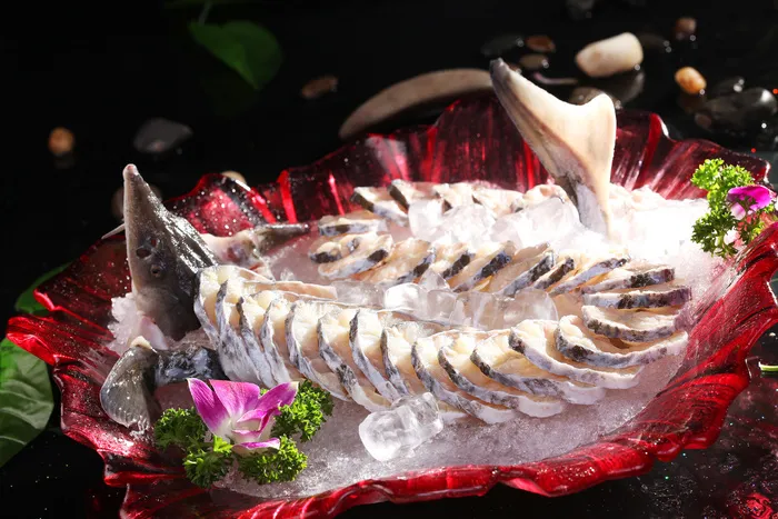 中华鲟 (1)