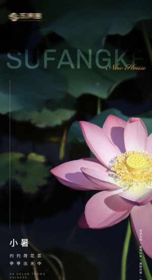 房地产 二十四 节气 系列 海报
