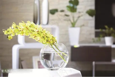 桌上的花瓶兰花静物 桌上的花瓶兰花静物