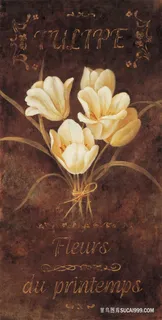 唯美花卉艺术时尚插画