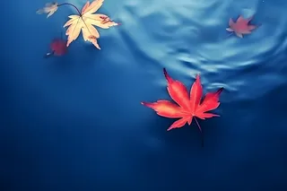 秋叶蓝色水面背景