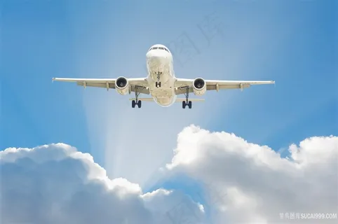 天空中的旅行客机 天空中的旅行客机