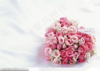 心形玫瑰花花束