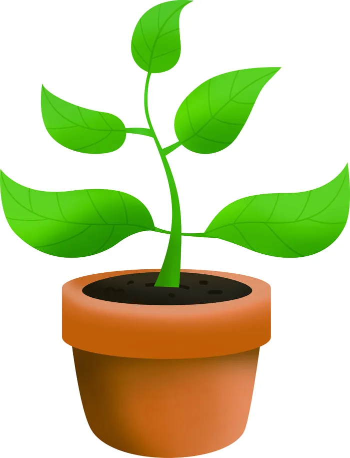 免抠植物盆栽psd模版下载