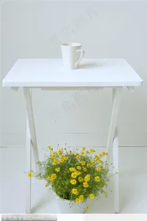 简单生活-白色桌子下的盆景 简单生活-白色桌子下的盆景