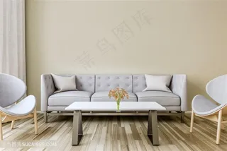 精美沙发软装效果图高清