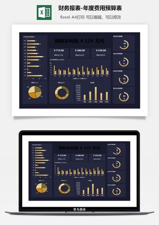 33财务报表-年度费用预算表