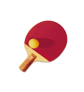 乒乓球拍单层免抠素材