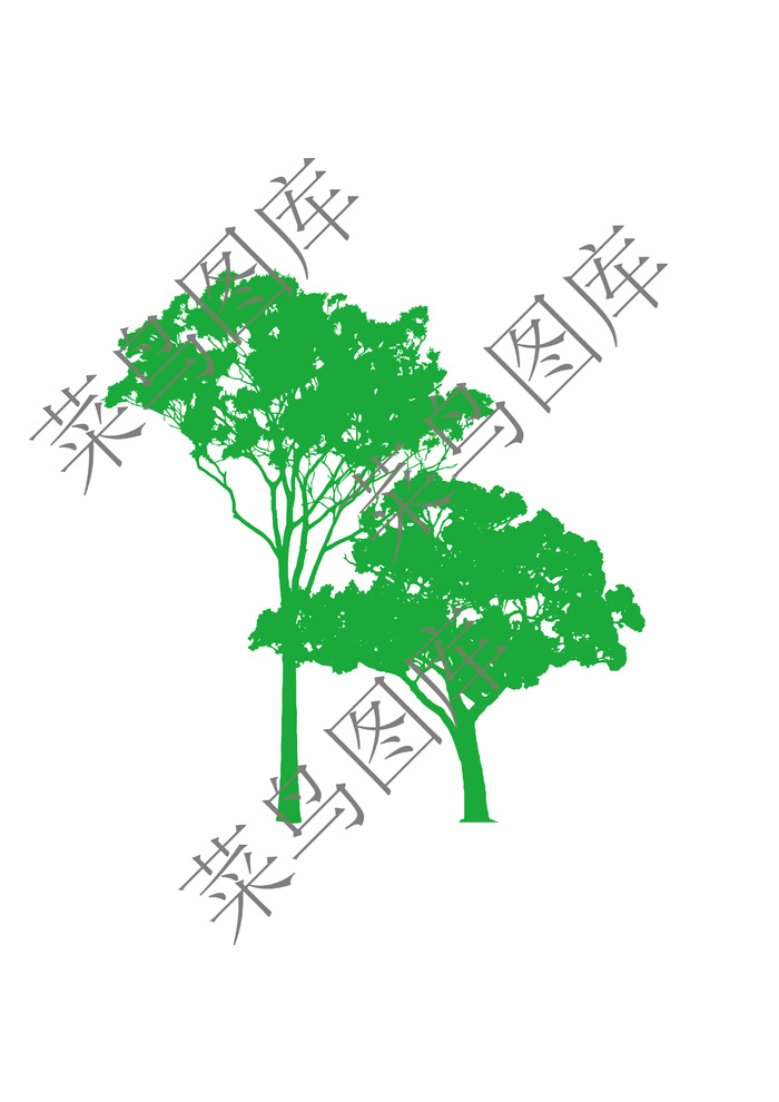 大树素描图-2ai矢量模版下载