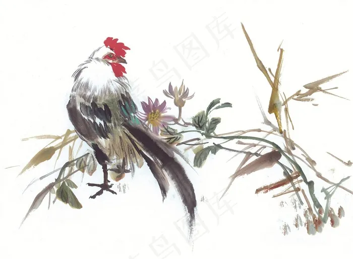 国画吉祥鸟大图美图素材