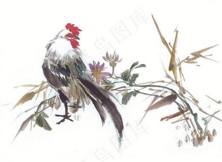 国画吉祥鸟大图美图素材