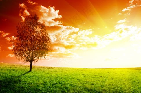 黄昏草原风景图片下载