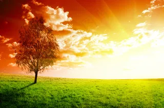 黄昏草原风景图片下载