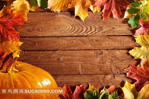 在木板上的树叶与南瓜摄影高清图片