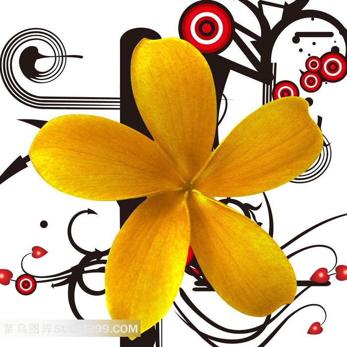 花朵创意图形装饰画设计素材