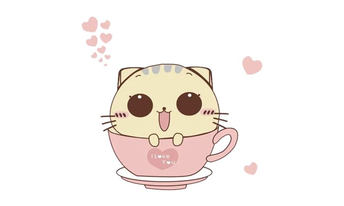 茶杯猫咪猫
