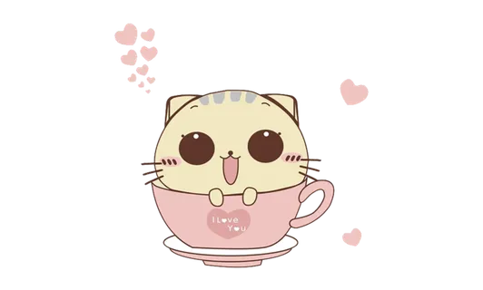 茶杯猫咪猫