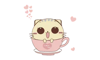 茶杯猫咪猫