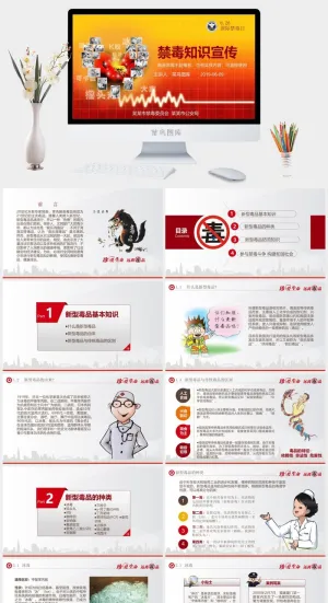 禁毒宣传PPT (3)