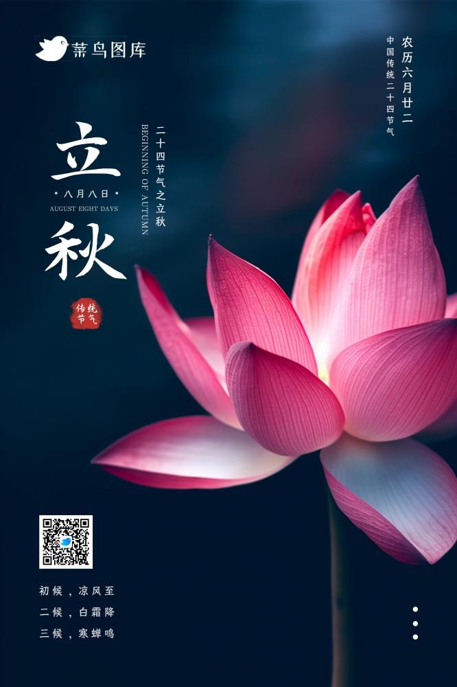 立秋粉色唯美莲花淡雅大气节气海报