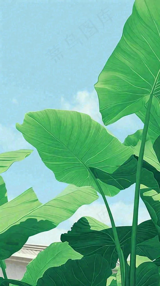 夏日荷叶绿色样式天空蓝天阳光清新白云，夏至小暑大暑处暑摄影图(816x1456)