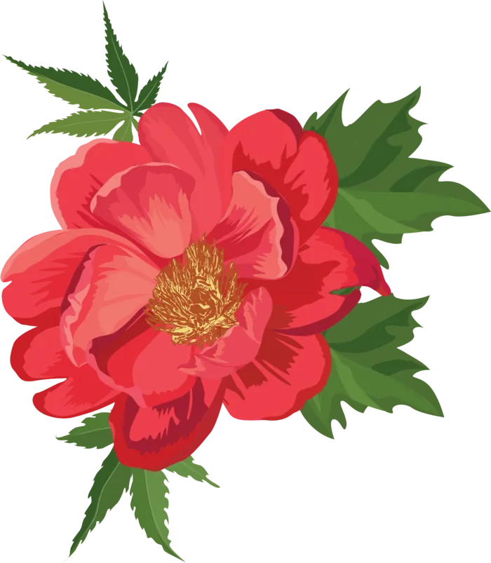 鲜花玫瑰免扣素材