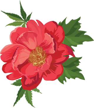 鲜花玫瑰免扣素材