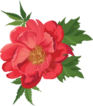 鲜花玫瑰免扣素材