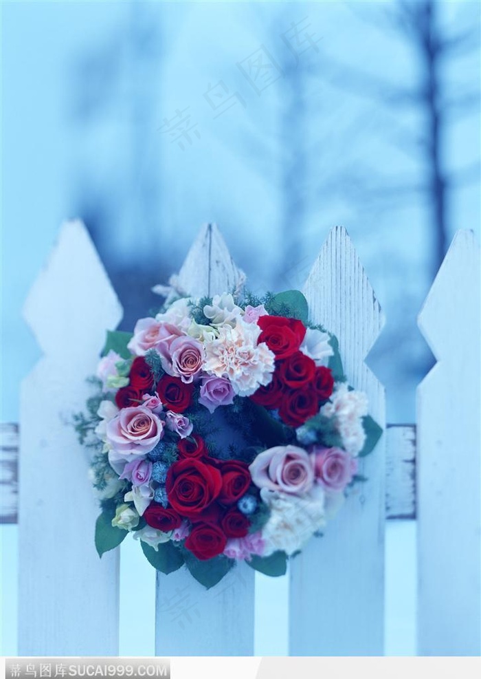 礼物饰品-篱笆上的圆形花朵