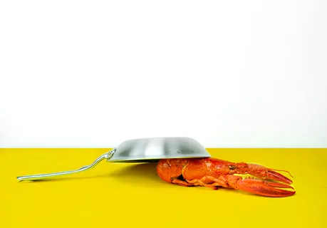 高清龙虾小龙虾 高清龙虾小龙虾