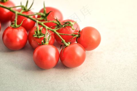 一串西红柿图片 一串西红柿图片