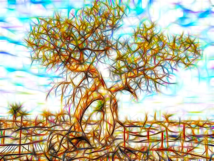 唯美大树线之绘