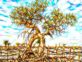 唯美大树线之绘