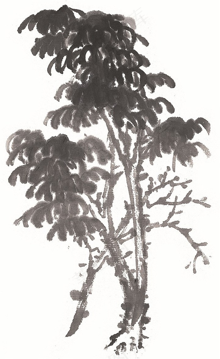 树美图图片素材