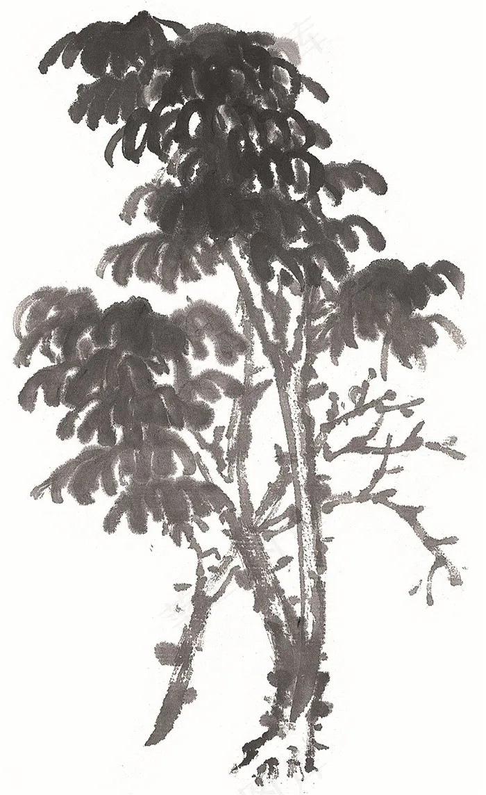 树美图图片素材