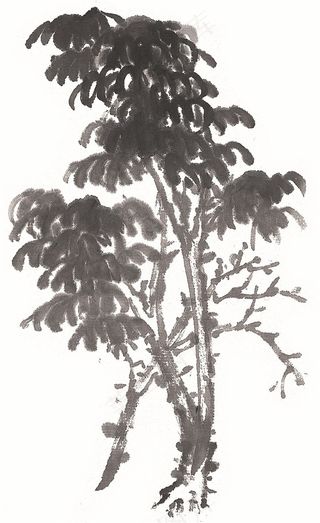 树美图图片素材