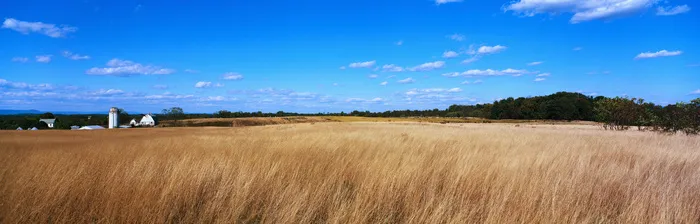 J147-67-大幅风景13