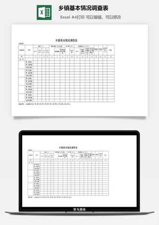 乡镇基本情况调查表excel模板