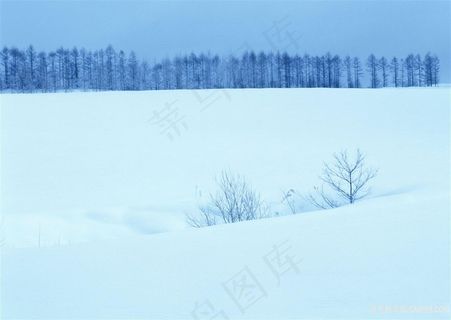 冬季冰雪美景