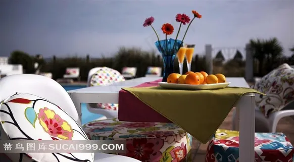 欧美室内效果图奢华